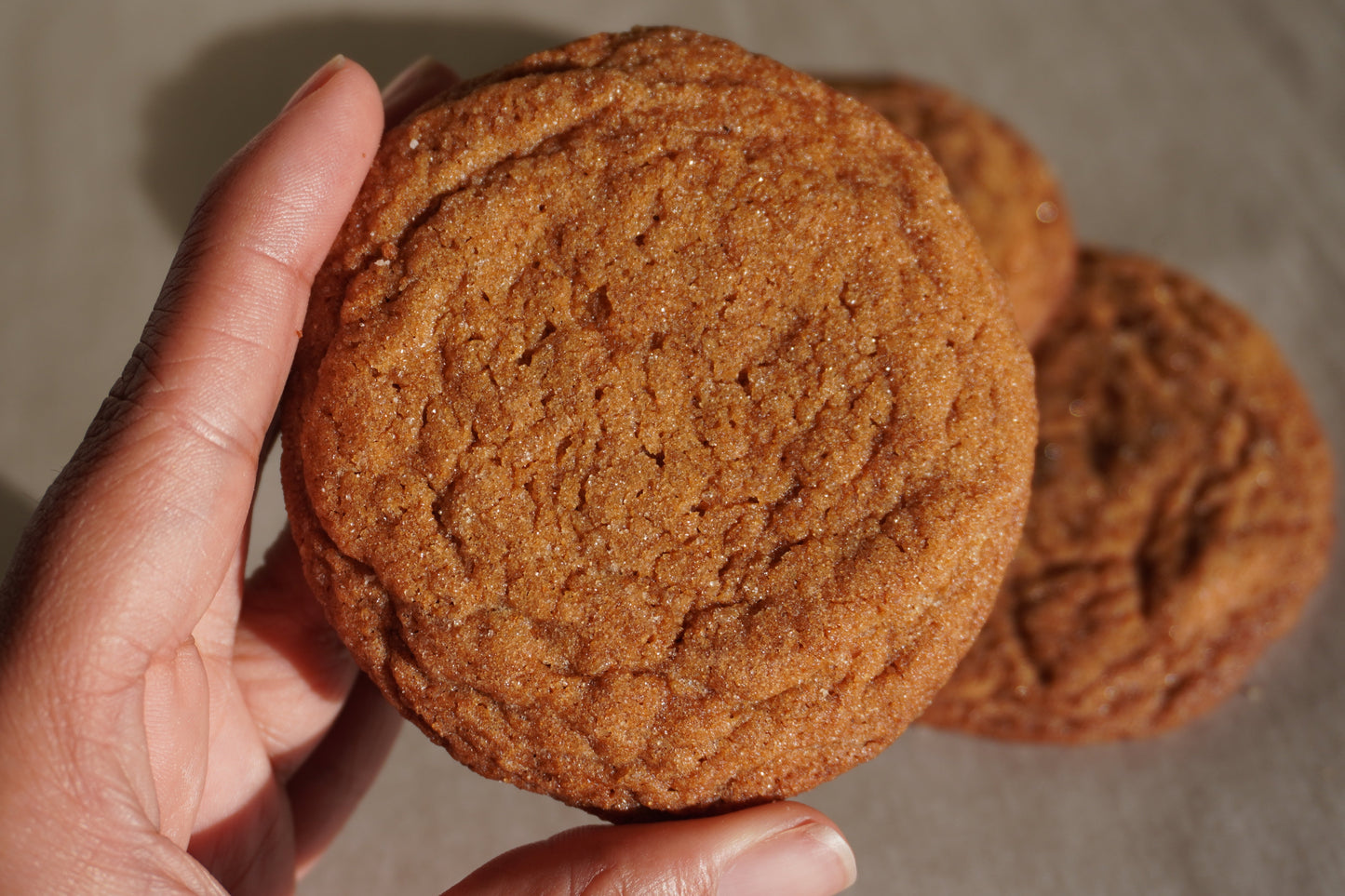 Ginger Cookies
